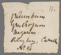 L 00680
<br/>
Label met opschrift
<br/>
<em></em>